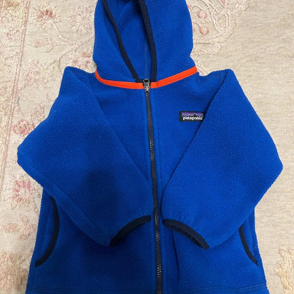 Patagonia Vibrant Blue Fleece Jacket